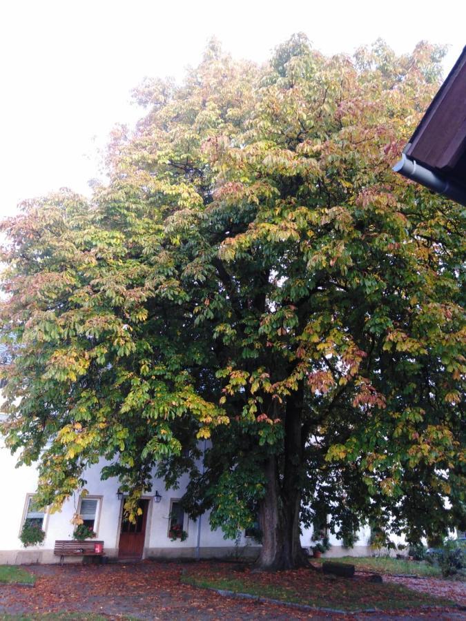 Landpension Haupt Sebnitz Exterior foto